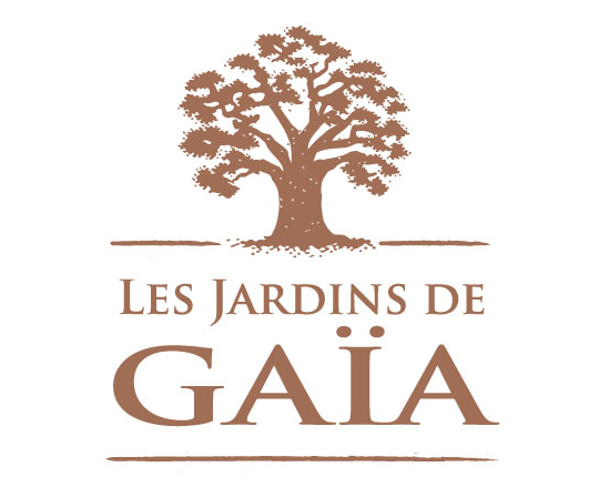 Capture d'écran 2026-02-24 104251