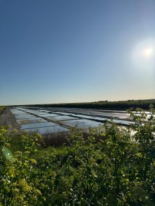 WhatsApp Image 2025-04-09 à 12.20.18_9235896a