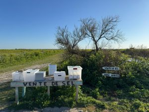 WhatsApp Image 2025-04-09 à 12.20.18_b6512fd0